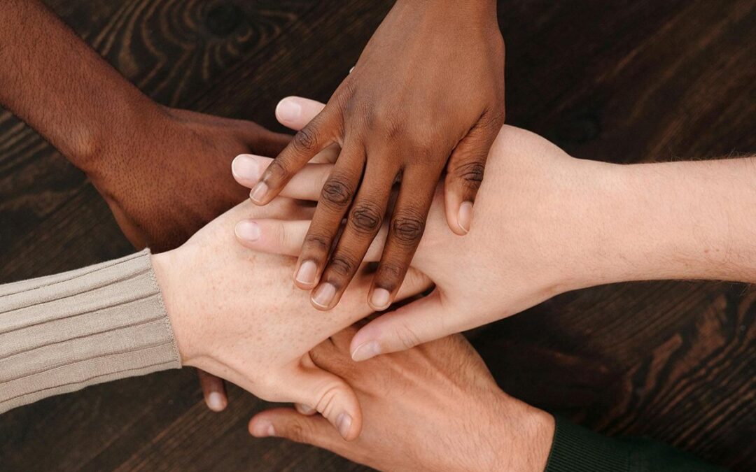 Unleashing the Superpowers of Executives: How Boards Can Help Us Soar