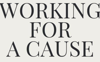 A Practical Guidebook for Immigrants Entering the Nonprofit Sector