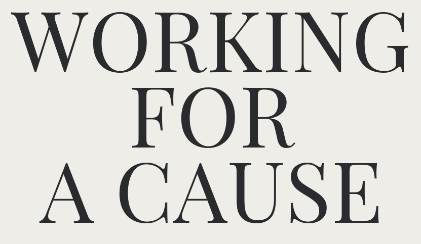 A Practical Guidebook for Immigrants Entering the Nonprofit Sector